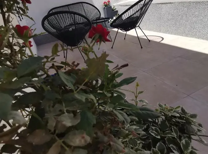 Marina Pavic * Hvar Town